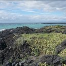 한림읍 월령리마을 이미지