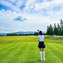 주식회사 피플러스 | 헬스 단백질보충제 추천 하림 피플러스 프로틴플러스 근육보충제