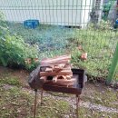 백담 파인밸리 이미지