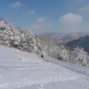 스톤크릭