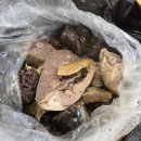 청량리33 | [청량리] 경동시장 떡볶퀸 추천 깻잎순대 리어카 할머니 떡볶이 후기