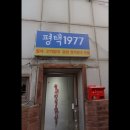 스테이1977