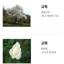 현천고등학교 이미지