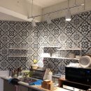 누에보디아 이미지