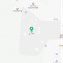 포은로 은행나무길 이미지