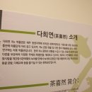 다희연 티 뮤지엄 이미지