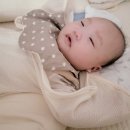 브라운하트 이미지