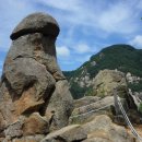 양지-3577 이미지