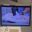 코리아 탑클래스 태권도 | [블러 스튜디오 히어로 강의] 탑셰프 대니 가르시아의 해산물 요리 마스터클래스, 얼리버드 이벤트