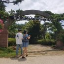 숲속의 정원 이미지