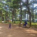 세븐일레븐 파인아트라벨점 이미지