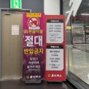 롤러버스