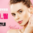 더 벨류 에스테틱 이미지
