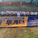 메이저 애견훈련학교 이미지