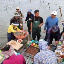 ﻿ [김준의 맛과 섬] [116] 고창 만돌 뻘밥 이미지