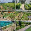 우성자연어린이집 이미지