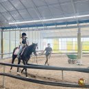 호스피아 학생승마 신청방법 &amp; 화성홀스파크 후기 🐴