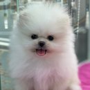 멍앤멍스 이미지