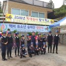 안산승마클럽 이미지