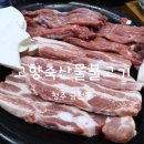 청주 금천동 맛집 고향축산물불고기 삼겹살 후기