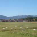 산내들부동산중개(주) 이미지