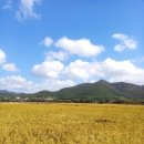 만종 민박 이미지