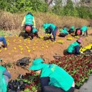 점리마을 이미지