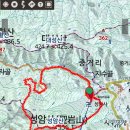 장자골로 티스토리