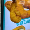 꽈백최선생 이미지