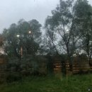 스미스라이프(Smith Life) | 2025년 6월 회고: 날씨는 이토록 평온하고 좋은데.. 마음이 괴로워서야..!