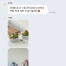 블뤼엔 | 🌸W8 : 드디어 상견례! (프룻밍, 드블뤼엔, 선한정식)