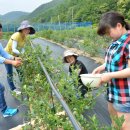 순창농장 이미지