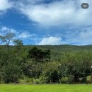 방동가든 | W1-2. 내 꿈의 베뉴를 찾아써! 비브레스가든 참관/계약 후기(26년 견적공유)