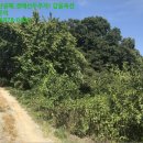 복운2리마을회관 이미지