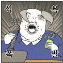 간식 끊고 싶은 여시들 호박고구마말랭이 처묵처묵해보자 이미지