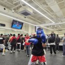 밤짐복싱 이미지