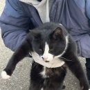 옥남농장 이미지