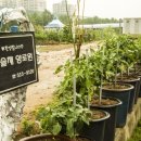 나솔채양로원 이미지