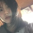 다미존