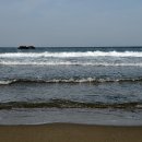 삼척해수욕장 Daum카페