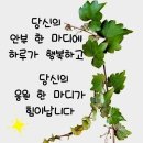 그리움님 ㅎ 이미지