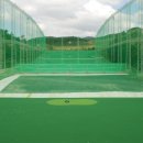 공룡의숨결 이미지