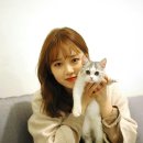 유정 이미지