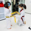 한별 용인대 소나무향기 태권도장 | 한별초등학교, 변화 힘들어하는 아이 이것만 기억하세요