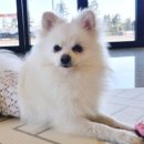 그루밍제주 이미지