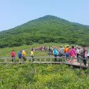 8/18 일요-"야생화의 천국" 설악산 점봉산,곰배령 트레킹 안내 이미지