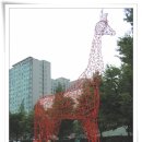 미관광장 이미지