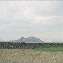 바당올레 이미지