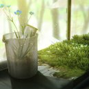 덕진-119 이미지