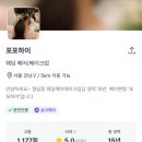 하이,포포 이미지